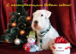 С Новым годом!