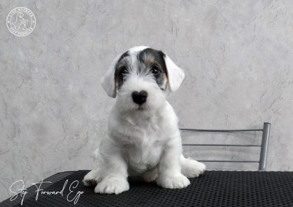 Будущим владельцам