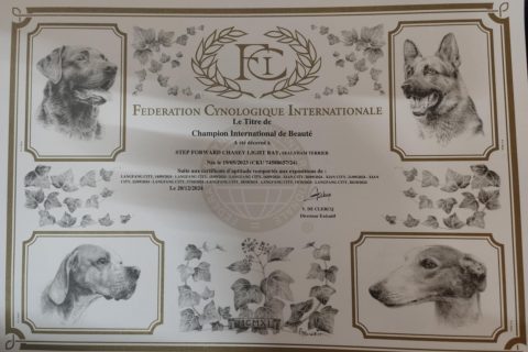 Вести из Поднебесной