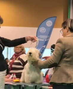 Хитуша — Чемпион Беларуси!