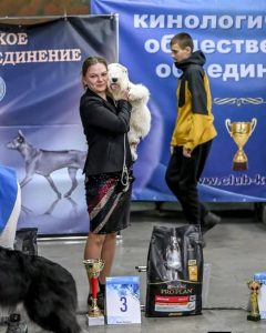 Веня — лучший юниор выставки!