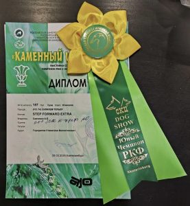 Юниорский дебют