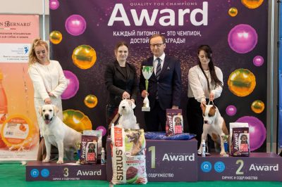 Вести из Минска