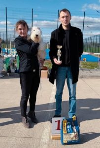 И снова Веня — лучший юниор выставки!