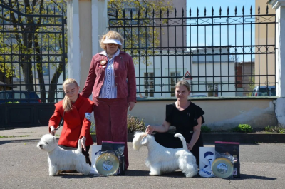 Выставка в Витебске
