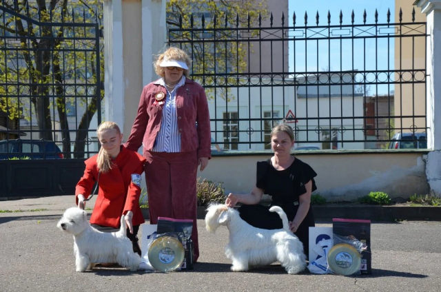 Новости