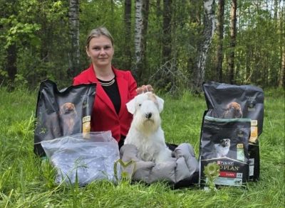 Выставки в Новополоцке
