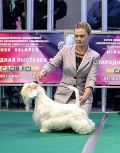 Международная выставка в Минске