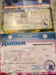И снова в ринге!