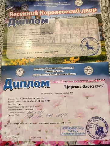 Новости