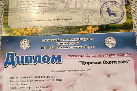 И снова в ринге!