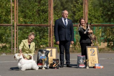 Веня — дважды Лучший Юниор Выставки!